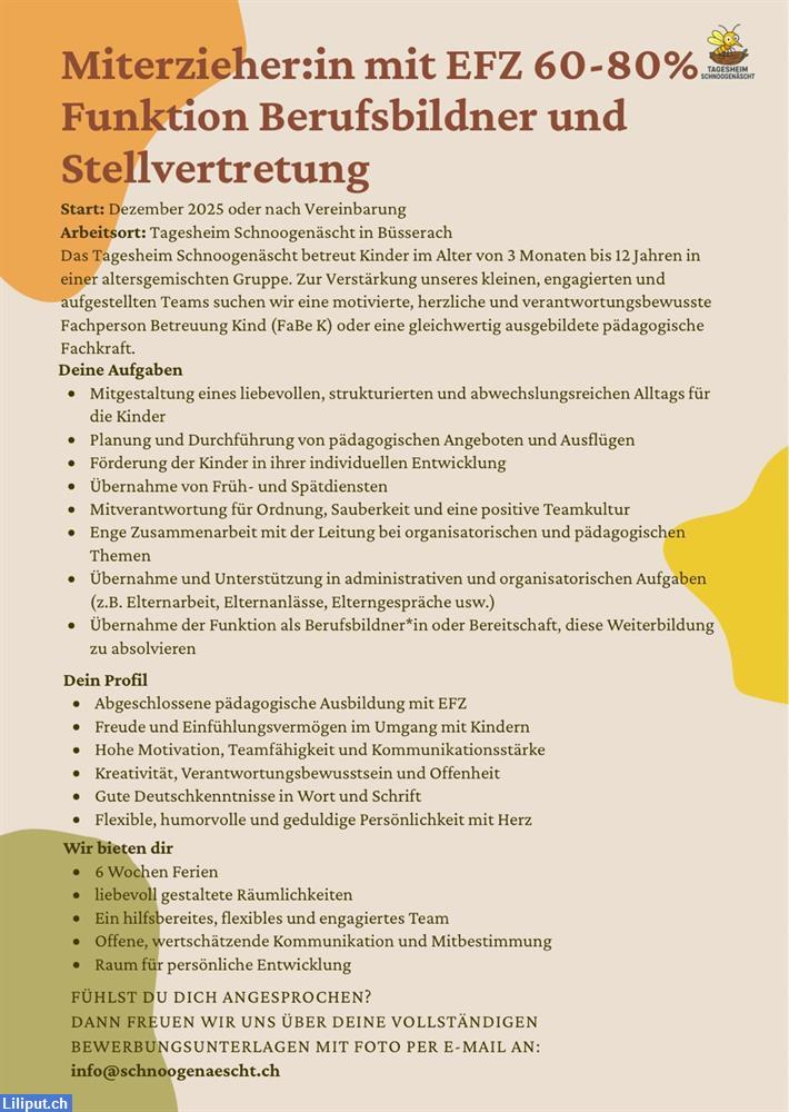 Bild 2: Suchen Miterzieher:in mit EFZ Funktion Berufsbildner + Stellvertretung