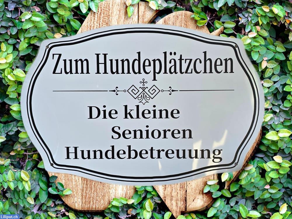 Bild 1: Zum Hundeplätzchen - biete Hundebetreuung für Seniorenhunde