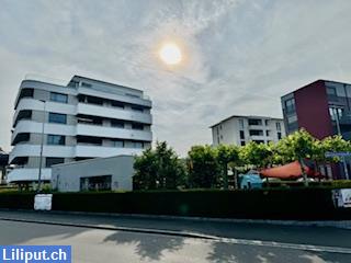 Bild 2: Suchen motivierte Praktikantin / Praktikant (w/m/d) ab 18. August