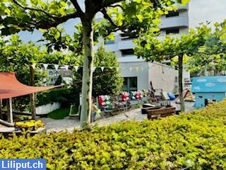 Bild 3: Suchen motivierte Praktikantin / Praktikant (w/m/d) ab 18. August