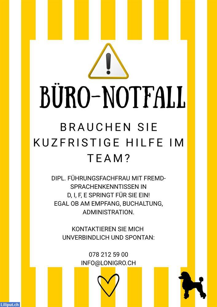 Bild 1: BÜRO-NOTFALL? Mehrsprachige Fachfrau bietet Unterstützung