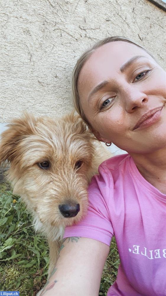 Bild 1: Biete flexible und liebevolle Tier-/Hundebetreuung, Region Amriswil TG