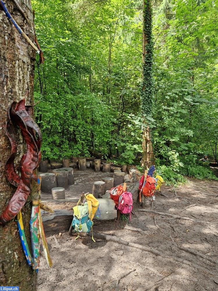 Bild 1: NaturKita Adliswil, die Kinderbetreuung mit täglichem Walderlebniszeit