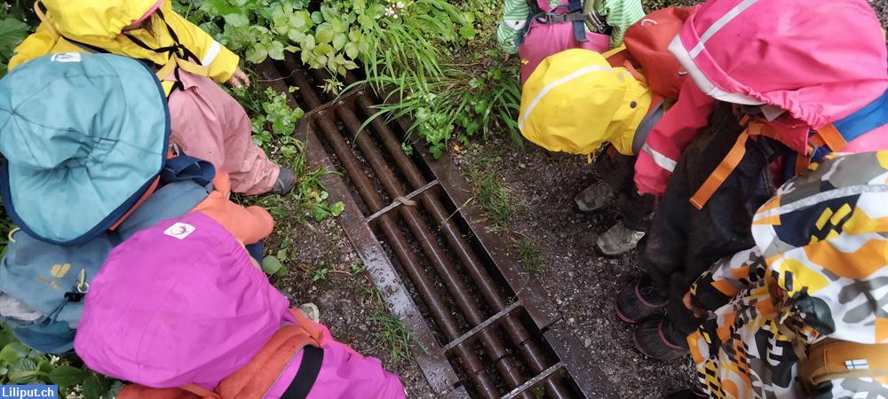 Bild 2: NaturKita Adliswil, die Kinderbetreuung mit täglichem Walderlebniszeit