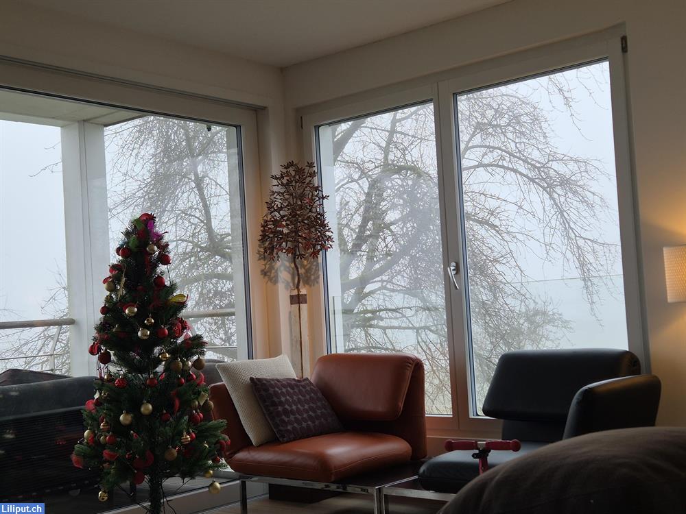 Bild 1: Putzfee gesucht für Haushalt in Dübendorf ZH