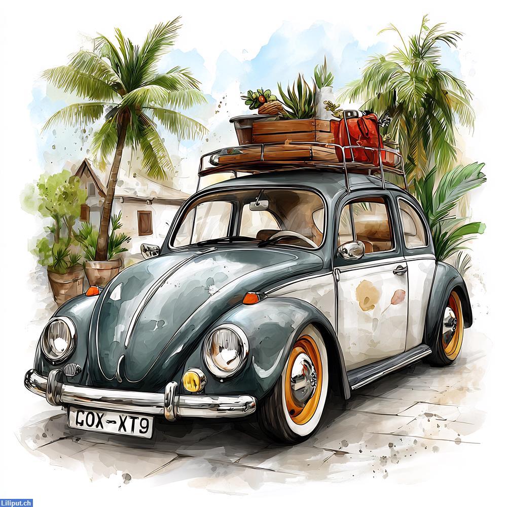 Bild 1: Suche Fahrdienst - jede zweiten Dienstag, ZH-Oberland