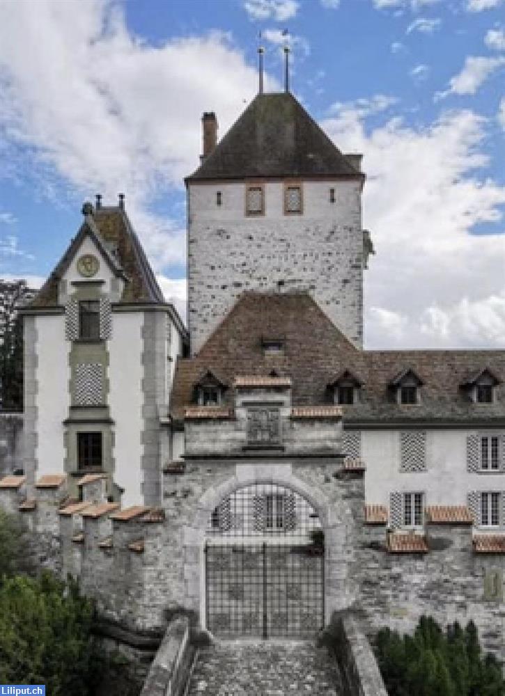 Bild 1: Suchen Reinigungsmitarbeiter für Frühlingsreinigung, Oberhofen am Thunersee