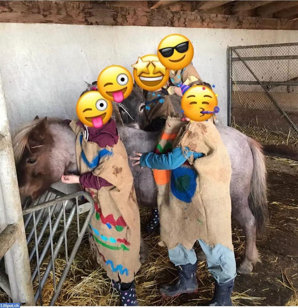 Bild 1: Sommerlager für Kinder ab 5 - 12 Jahre mit tollen Abenteuer