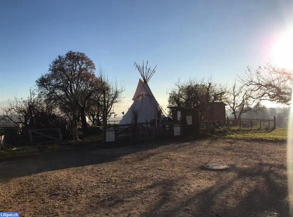 Bild 3: Sommerlager für Kinder ab 5 - 12 Jahre mit tollen Abenteuer