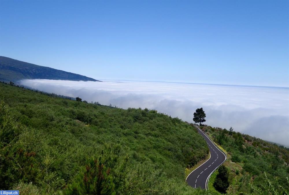 Bild 1: Jungblibne Pappi (43) vo 3 Kind suecht e netti Partnerin