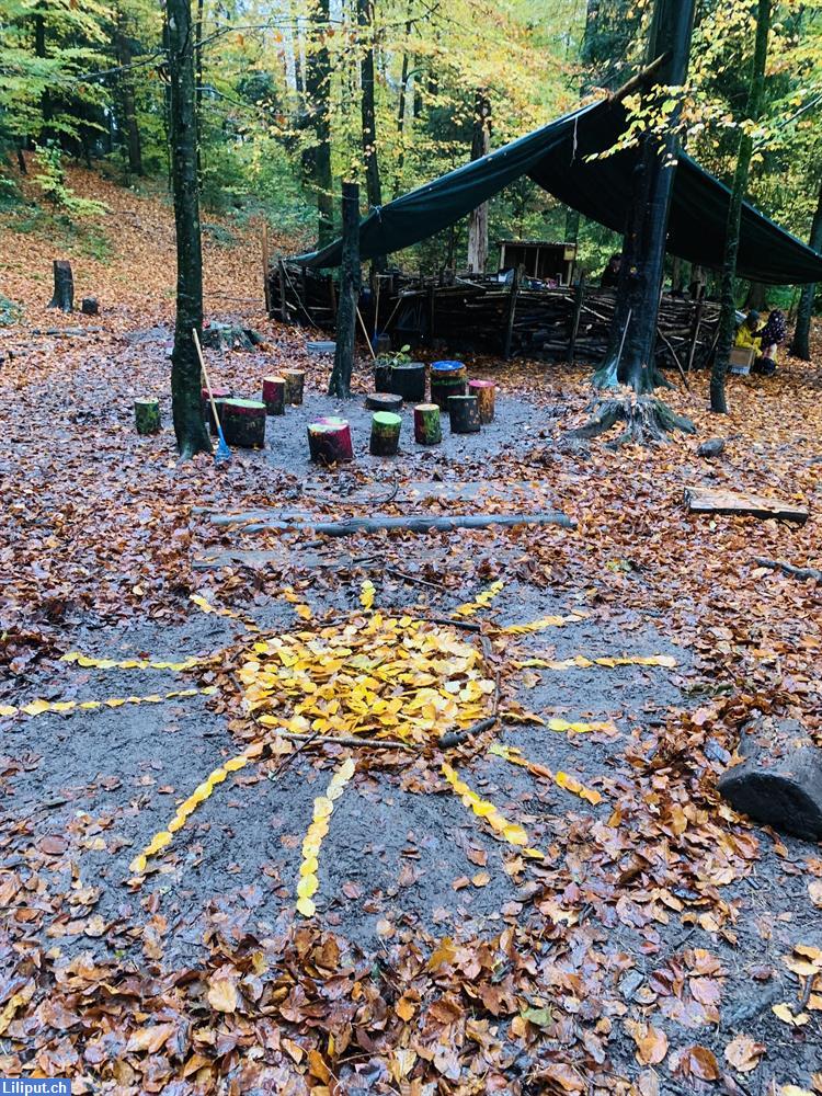 Bild 1: Suchen Waldspielgruppen Mitarbeiterin 20%, Baar im Kanton Zug