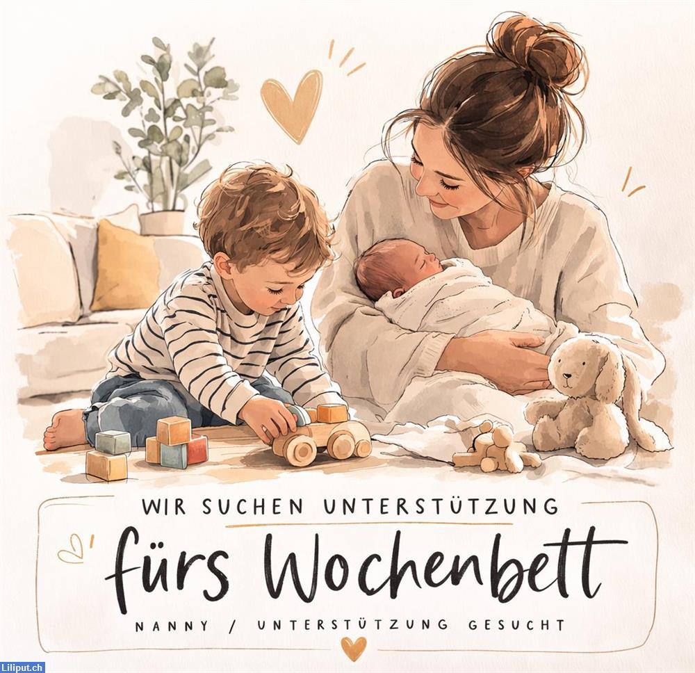 Bild 1: Suchen Nanny /Kinderbetreuung mit Unterstützung im Haushalt in Zürich