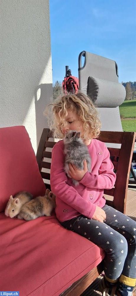 Bild 2: Zaubertage: Liebevolle Kinderbetreuung mit Herz, Natur & Fachkompetenz