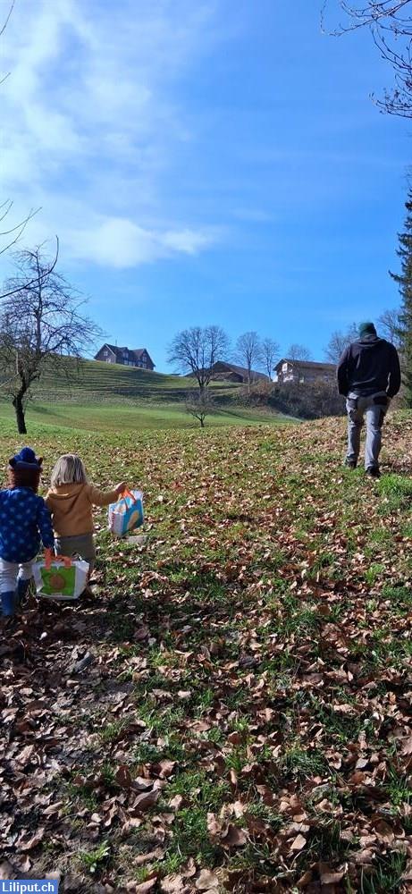 Bild 3: Zaubertage: Liebevolle Kinderbetreuung mit Herz, Natur & Fachkompetenz