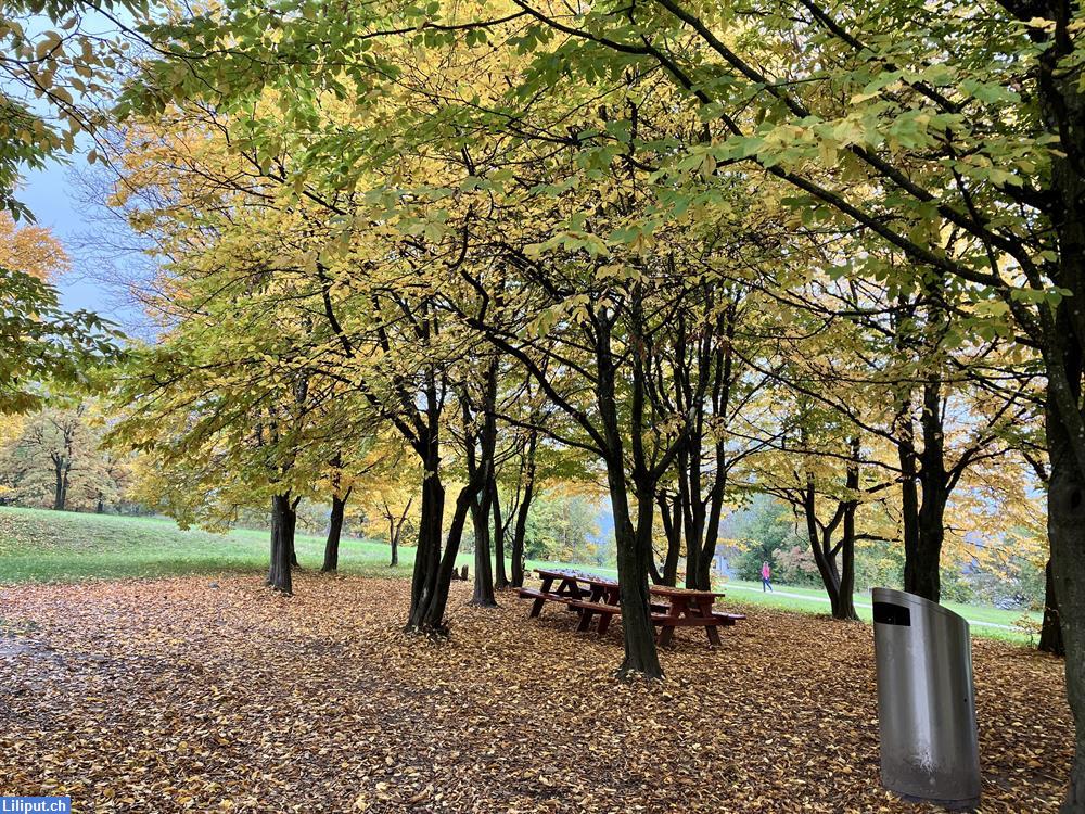 Bild 3: Malen in der Gruppe in Zürich