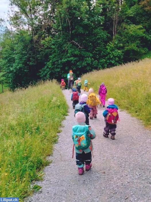 Bild 1: Anspruchsvolle Stelle in Natur- & Waldkita in Adliswil ZH