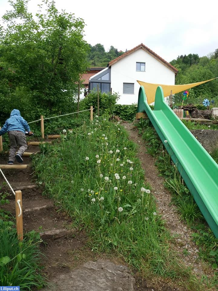 Bild 3: Anspruchsvolle Stelle in Natur- & Waldkita in Adliswil ZH