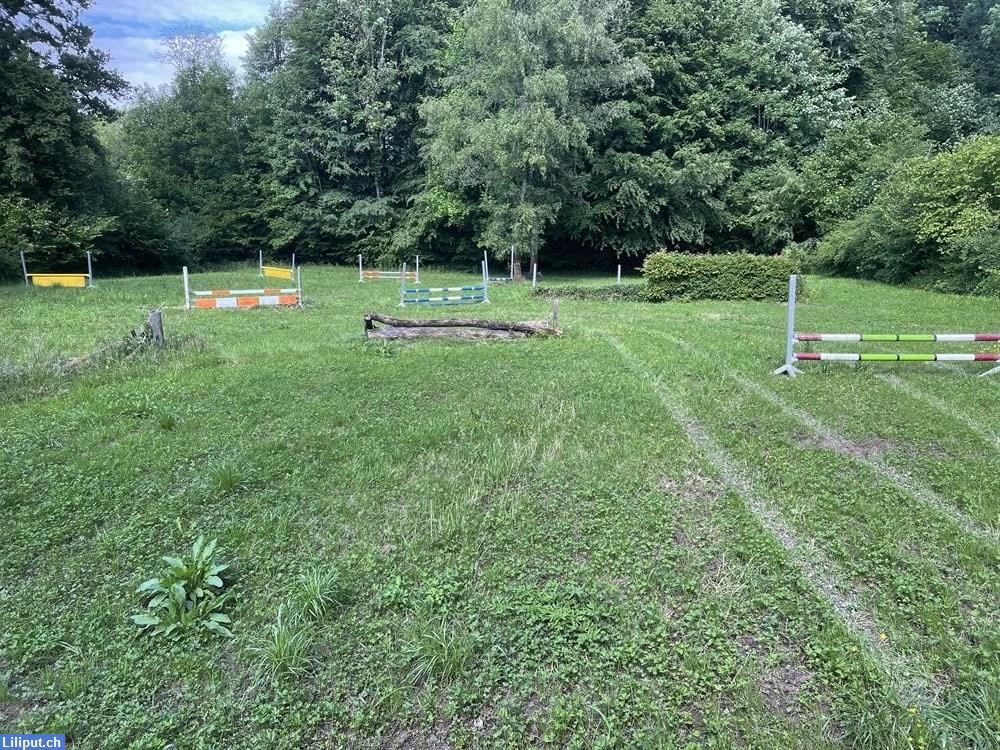 Bild 1: Günstiger Pferde Springplatz 20x35m in Allschwil im Baselland