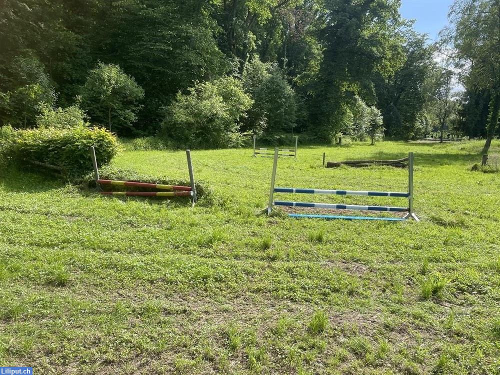 Bild 2: Günstiger Pferde Springplatz 20x35m in Allschwil im Baselland