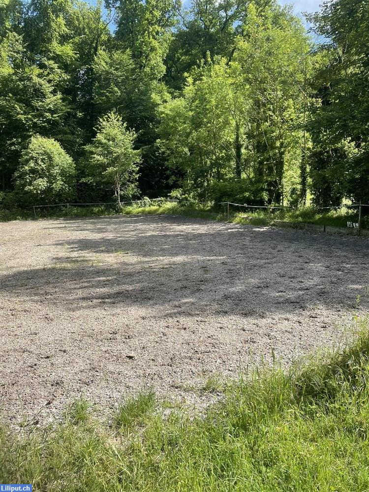 Bild 4: Günstiger Pferde Springplatz 20x35m in Allschwil im Baselland