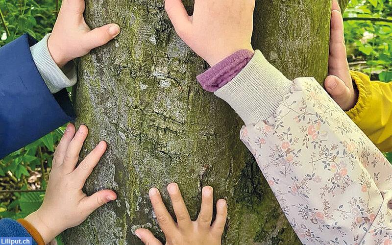 Bild 1: Suchen Gruppenleitung für unsere Wald- & Naturkita in Riehen BS