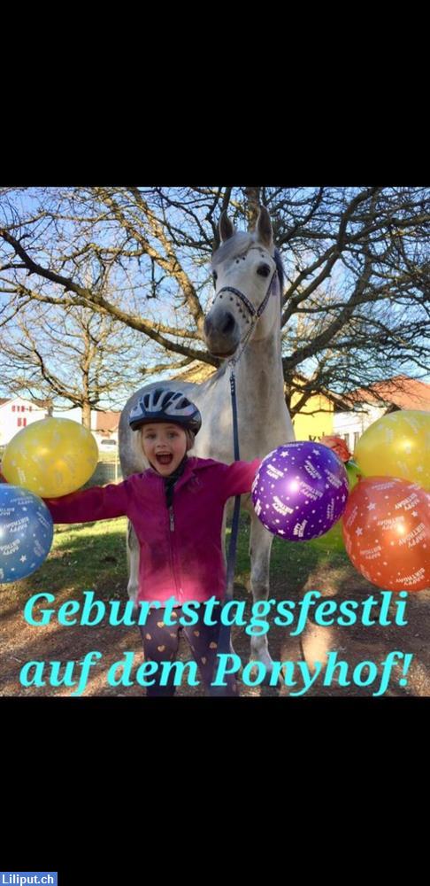 Bild 1: Ponyhof auf dem Pony- Zihlschlacht