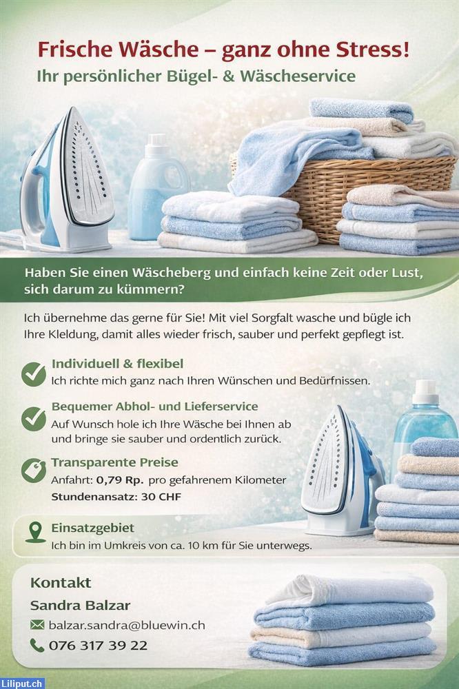 Bild 1: Biete Bügel- & Wäscheservice mit Abhol- und Lieferdienst