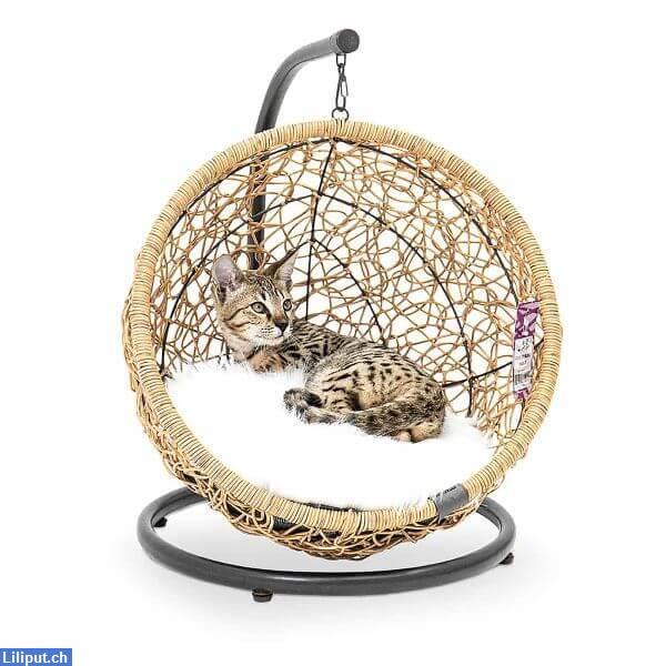 Bild 1: PetRebels House of Heaven Paris 47 Katzenbett, Creme