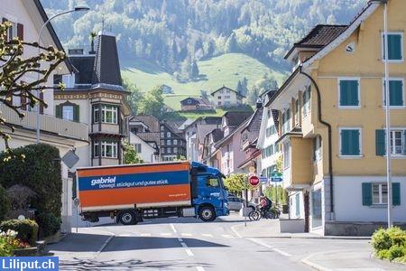 Bild 1: Umzüge und Transporte in der Zentralschweiz