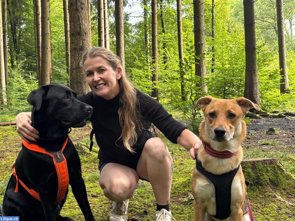 Bild 1: Tierbegeisterte Kollegin gesucht | Region Zürich, Aargau, Bern